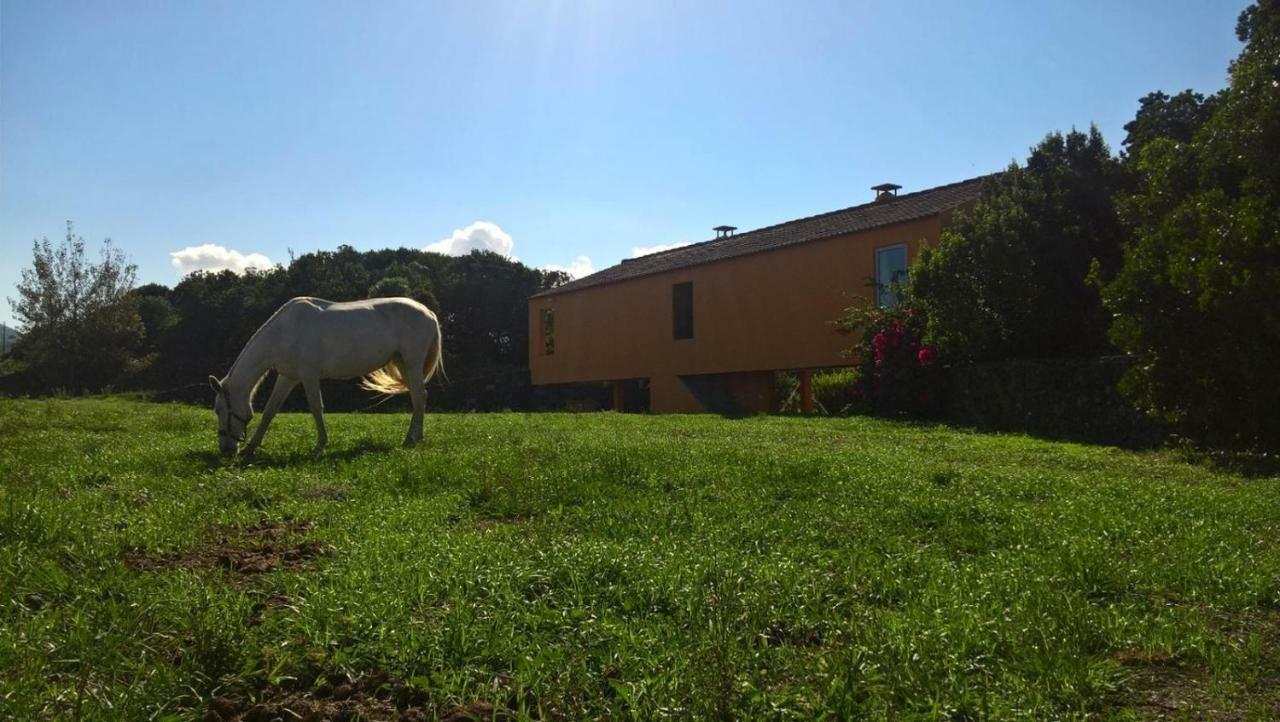 Quinta Da Falesia - Casa Amarela ปอนตาเดลกาดา ภายนอก รูปภาพ
